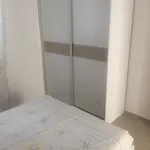 Apartament Lanterna *